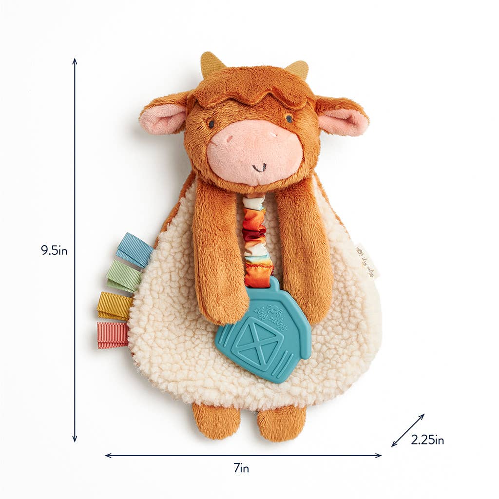 Itzy Highland Cow