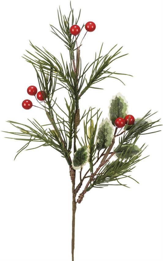 Pick Pine & Holly