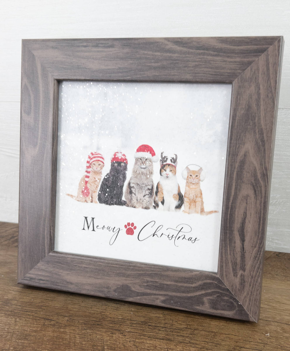 Christmas Kitten Winter