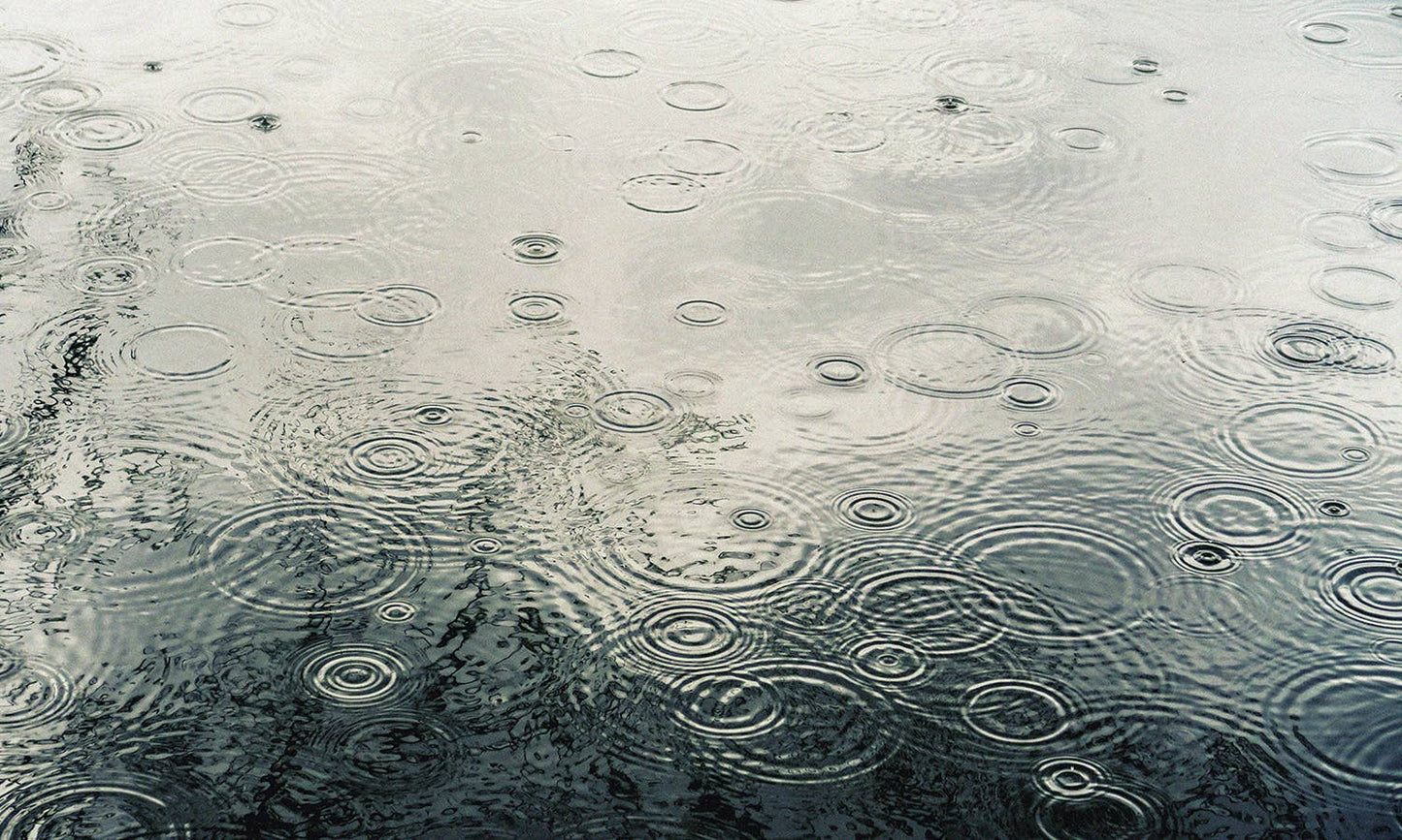 Candle 16 oz Dancing in the Rain