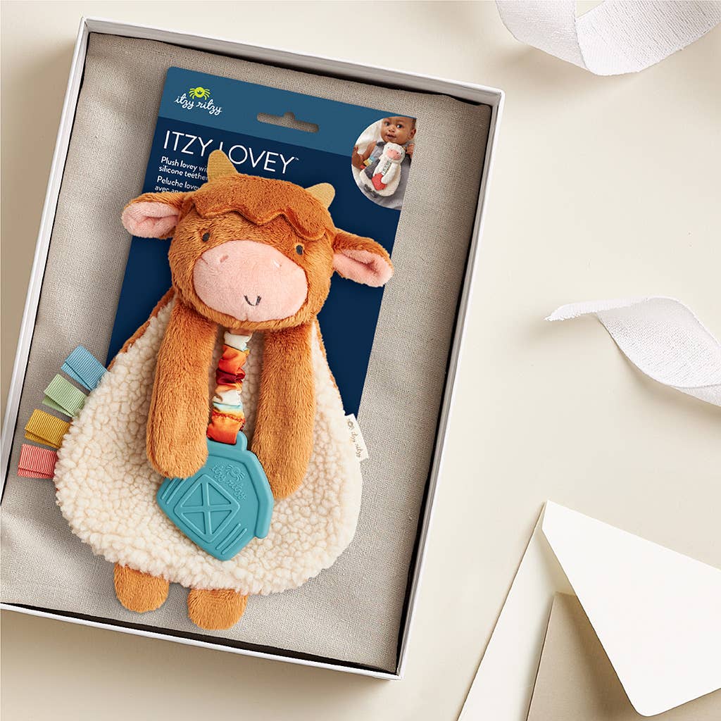 Itzy Highland Cow