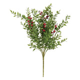Lady Ruscus & Berries Bush - 12"