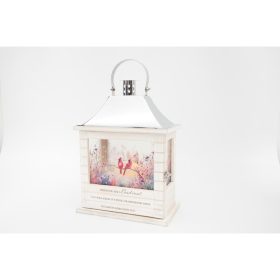 LANTERN