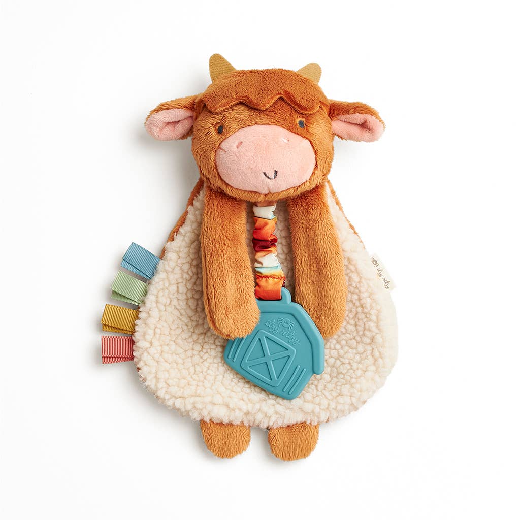 Itzy Highland Cow