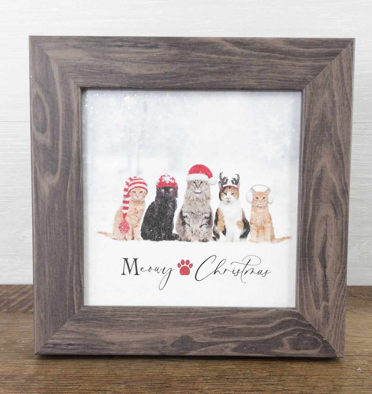 Christmas Kitten Winter