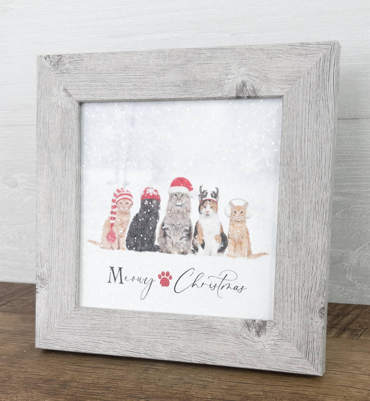 Christmas Kitten Winter