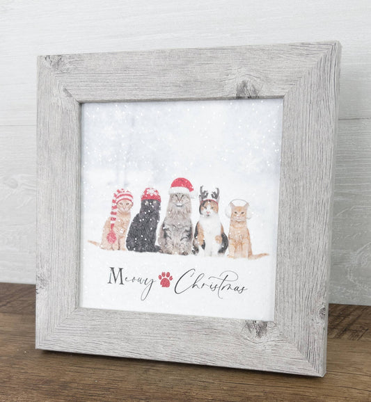 Christmas Kitten Winter