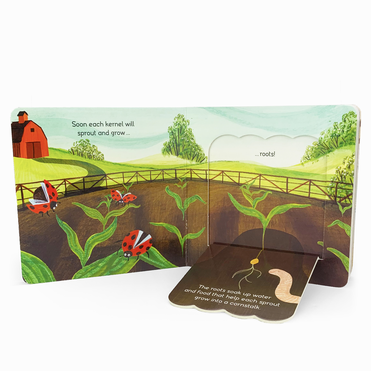 Plant & Grow Flap Book