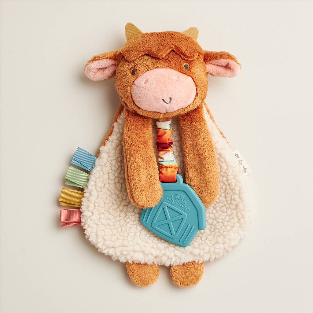 Itzy Highland Cow