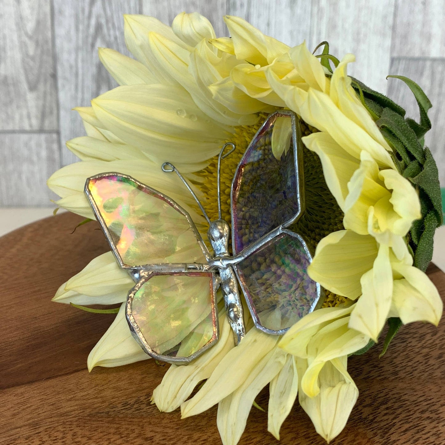 Glass Butterfly