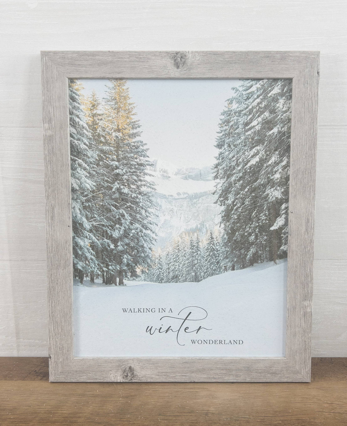 Winter Wonderland