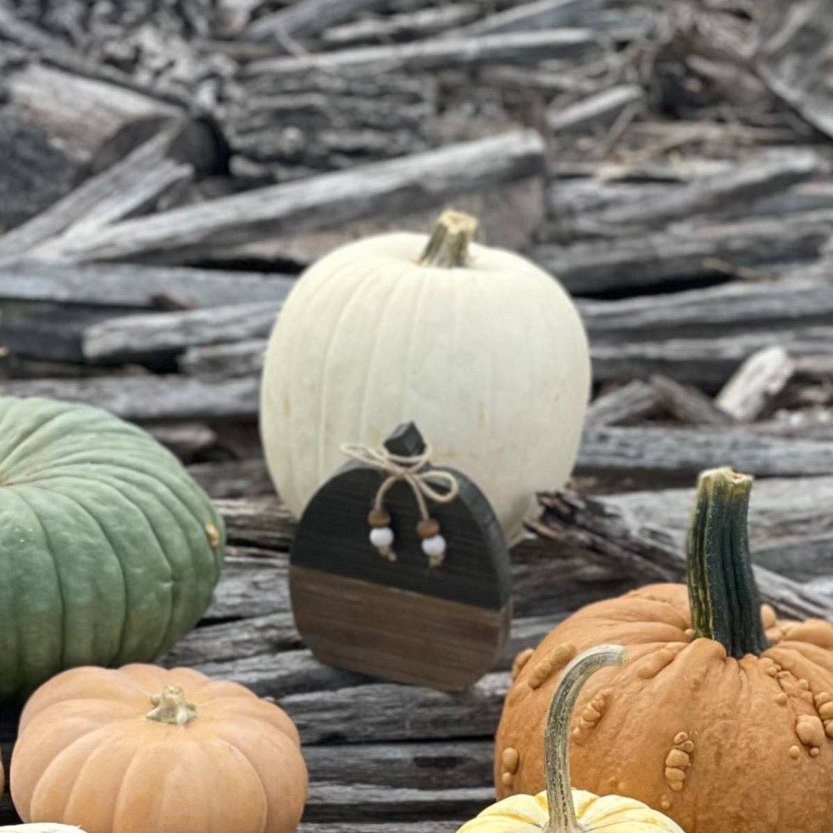 Pumpkin Small Black