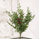 Lady Ruscus & Berries Bush - 12"