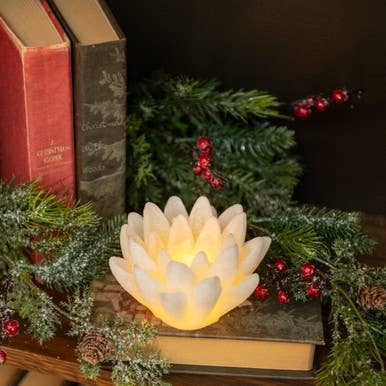 CREAM LED FLOWER