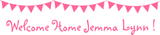 Banner Paper - 47.25" X 12"