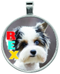 Pendant Necklace (Sublimated Photo)